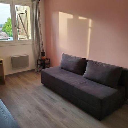 Appartement Moderne Et Equipe LʼIsle-Jourdain Exterior foto